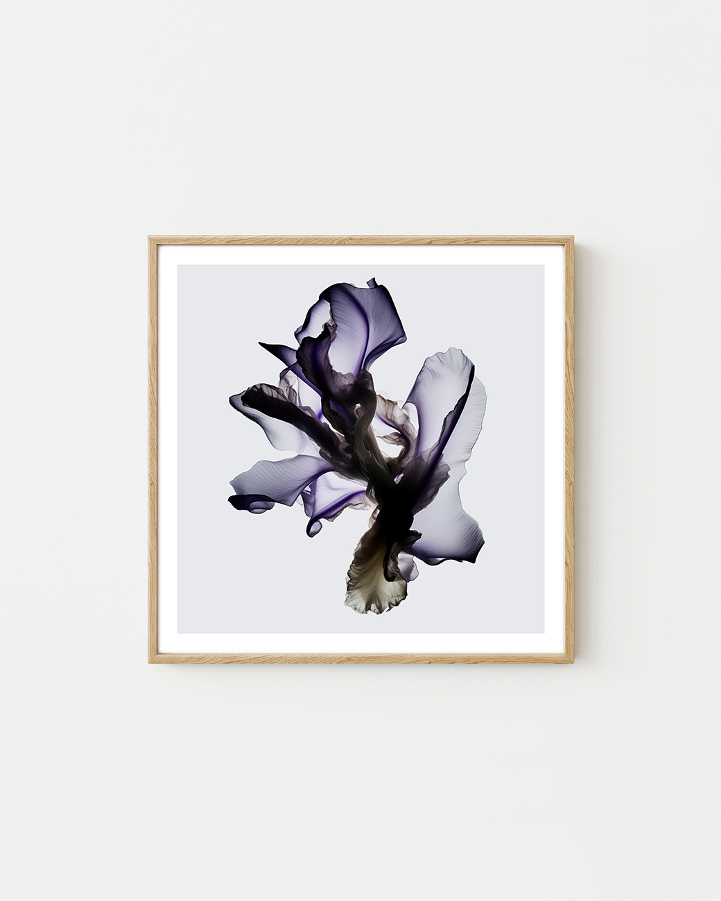 Silk Petal